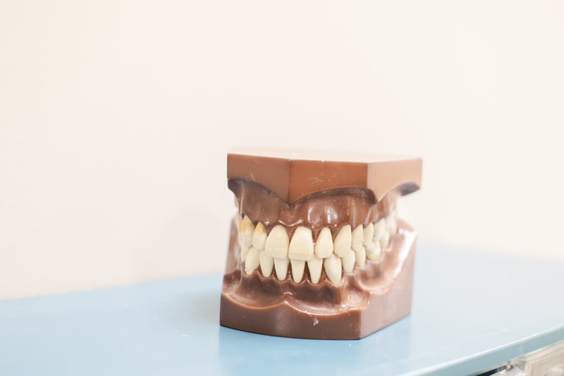 The Paleo Diet And Your Oral Health?