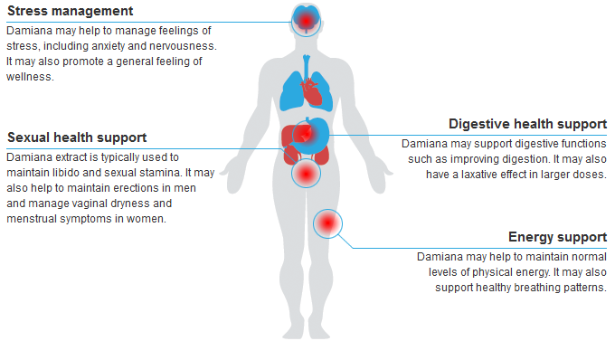 Background & Benefits of Damina | Sexual Health Support