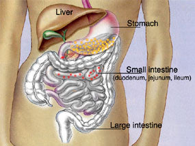 Enteric Coating