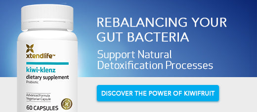 rebalancing gut bacteria