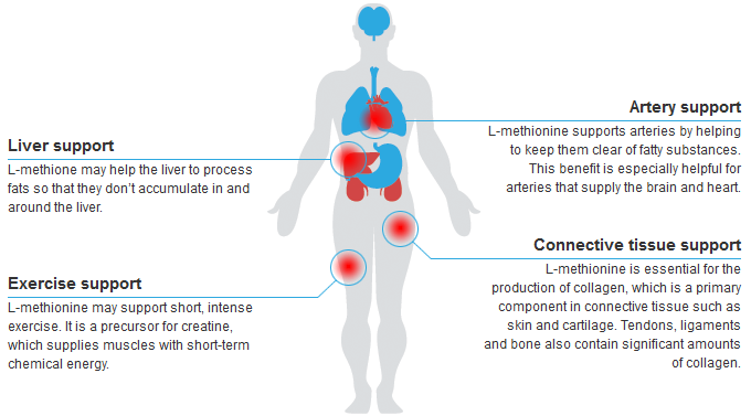 methionine benefits, benefits of methionine, health benefits of methionine