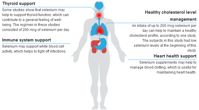 selenomethionine, health benefits, thyroid hormone, human body