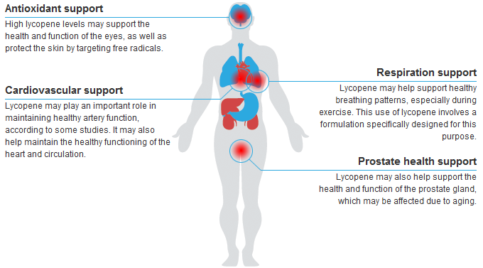 benefits of lycopene, prostate cancer, health benefits, lycopene supplements