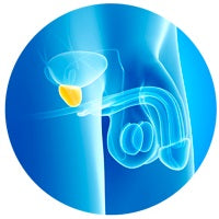 Prostate Health