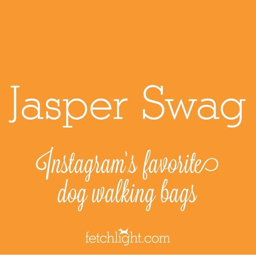 In the News - Fetchlight Blog Post About Jasper Swag