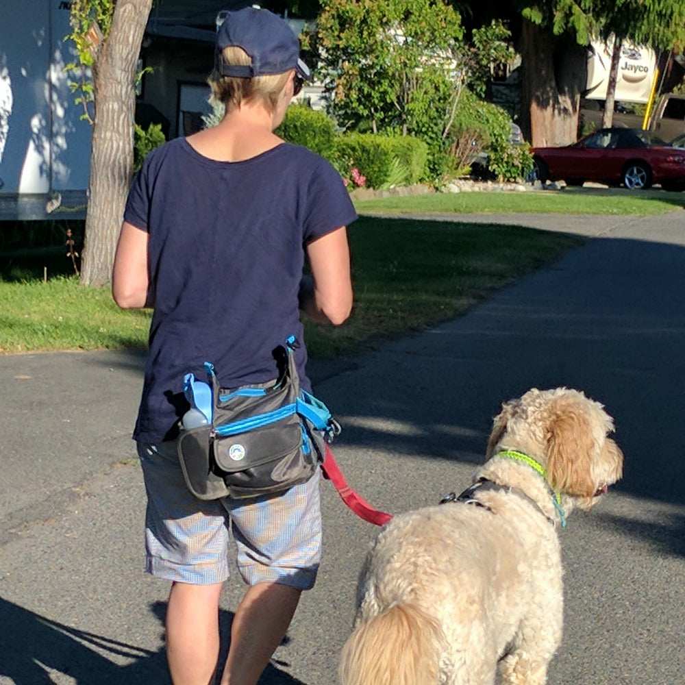 Which Jasper Swag Dog Walking Bag Should I Buy?