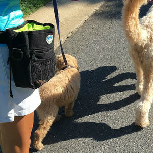 Jasper Swag Bag Mini Dog Treat Bag