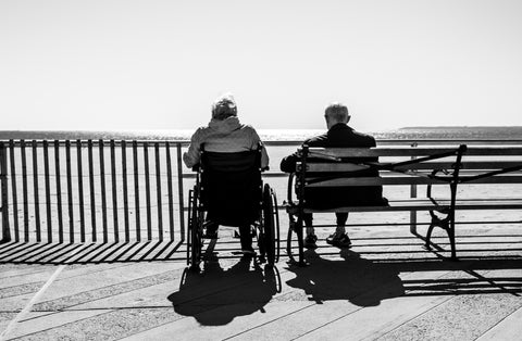 Two people facing a bridge one on a wheelchair the other one sitting on the bench