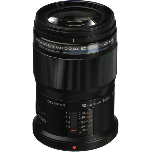 Olympus M.Zuiko Digital ED 60mm f/2.8 Macro Lens by Olympus at B&C