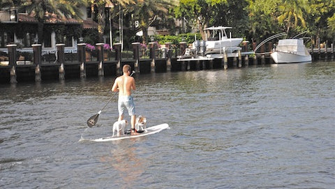 Inflatable Paddle Board Pic, Water Sports
