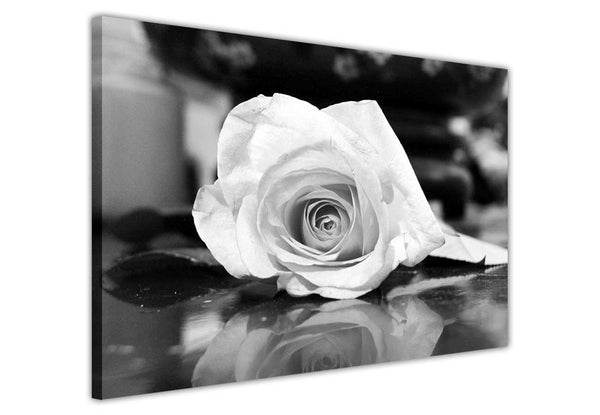 Black and White Rose on Framed Canvas Wall Art Prints Floral Pictures