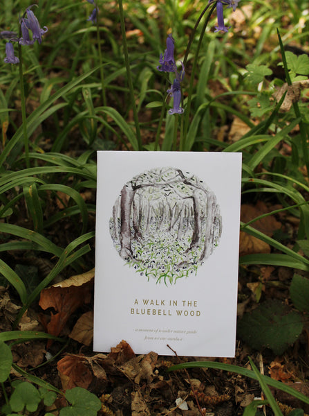 Spring bluebell nature guide
