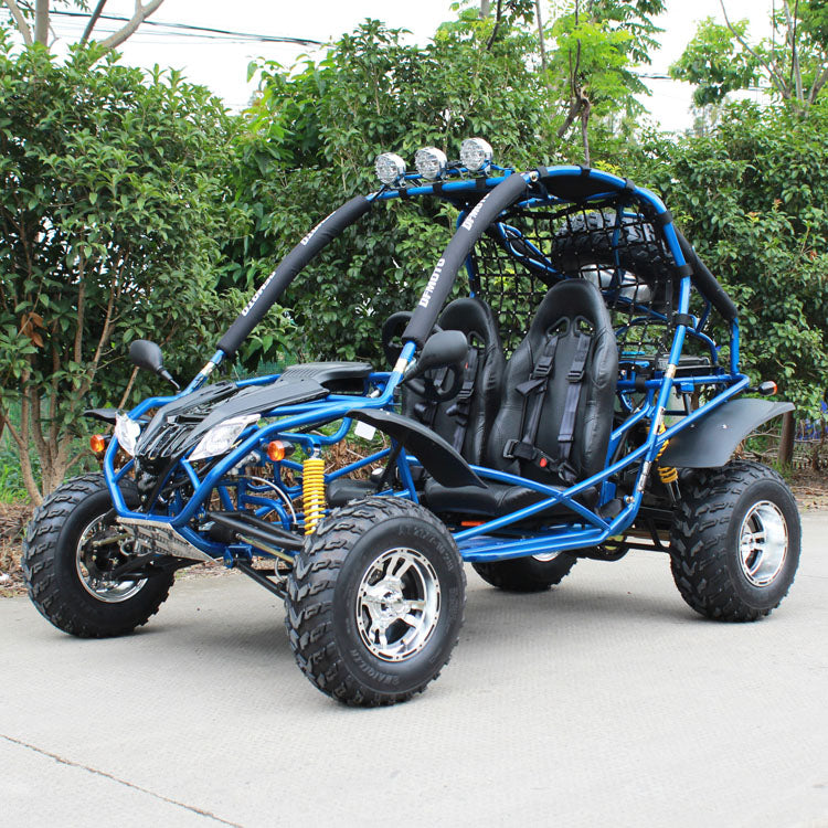 dongfang 200cc go kart