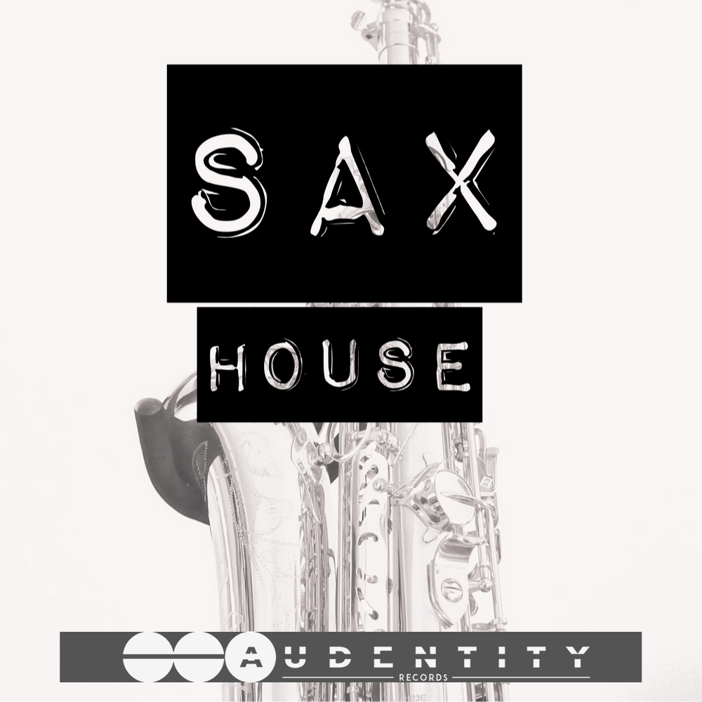 Sax House Audentity Records Samplest image