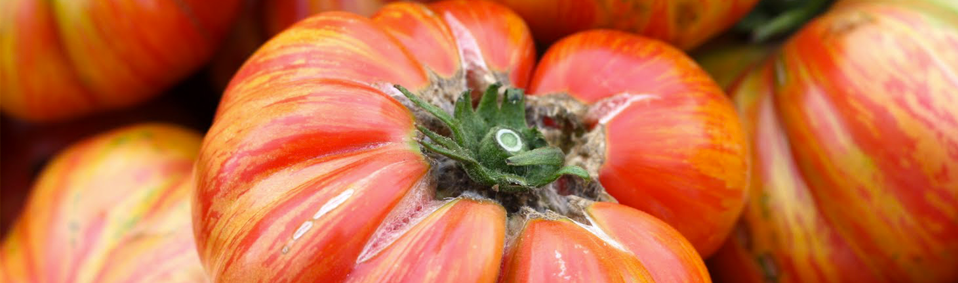 Queijaria Alpi - Tomate