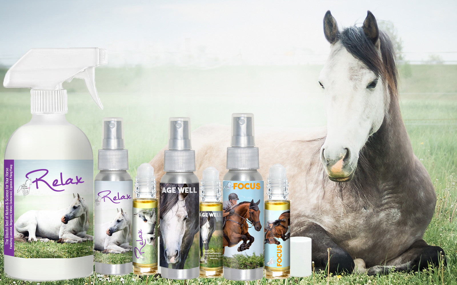 AROMATHERAPY FOR HORSES