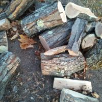 Walnut Wood Logs for Cooking