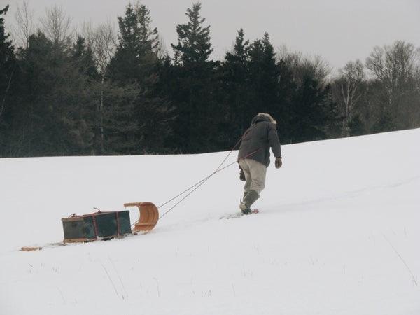 A man walking in the snowy woods, leaning into the weigh of the toboggan he pulls
