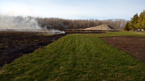 The smoldering remains of a burnt field contrasted with a sharp green lawn 