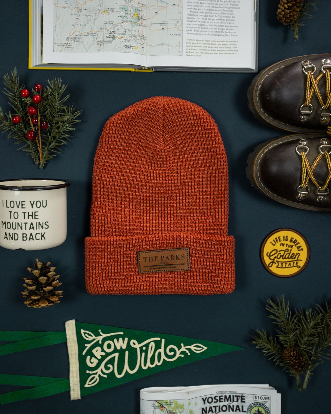 The Official Parks Beanie - dermovitalia