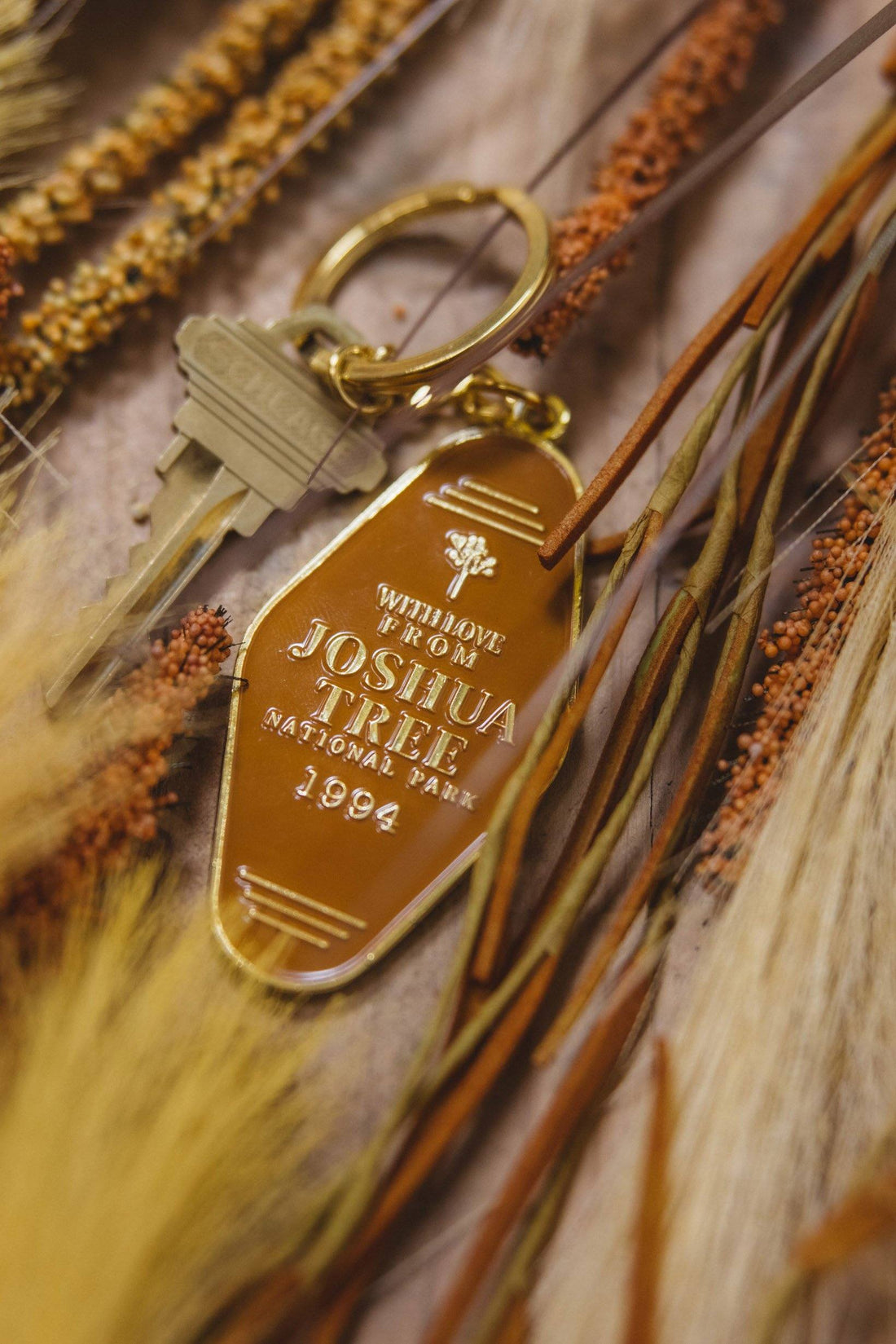 Joshua Tree National Park Keychain - dermovitalia