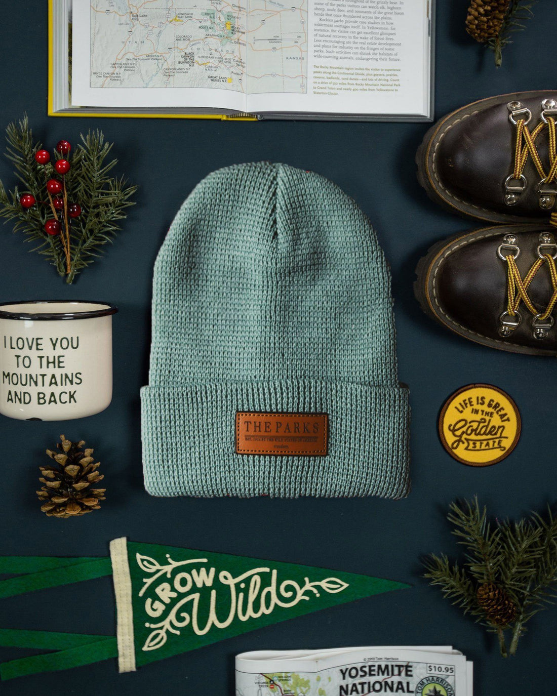 The Official Parks Beanie - dermovitalia