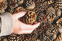 pine cone fall decorations 