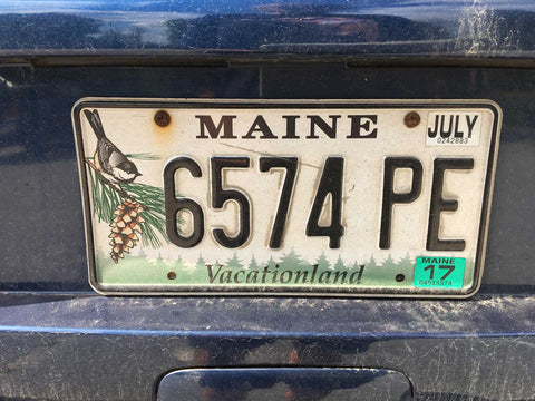 pine cone maine licence plate