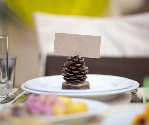pine cone wedding place card holders