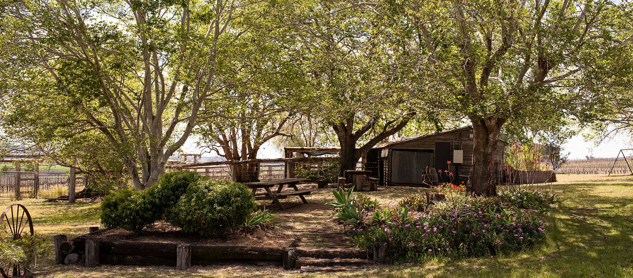 Clovely Estate Vineyard Cellar Door picnic area