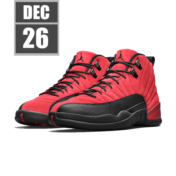 air jordan retro 12 flu game