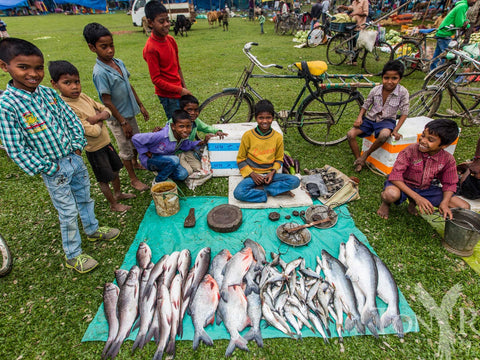 Children and fish at the Chota Tingrai payday market