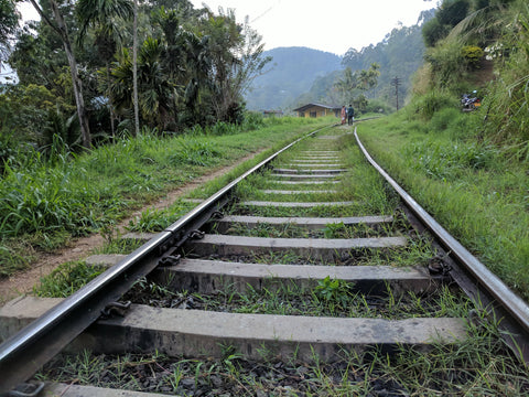 Train tracks in Ella, Sri Lanka