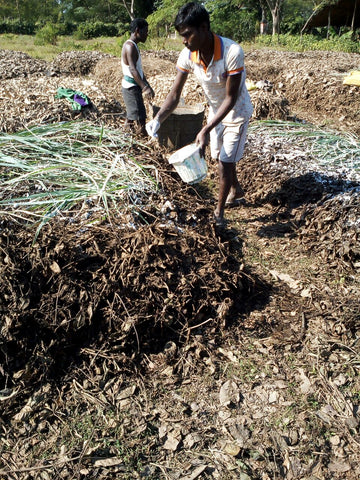 Making 700 tons of organic compost on Chota Tingrai Tea Esate