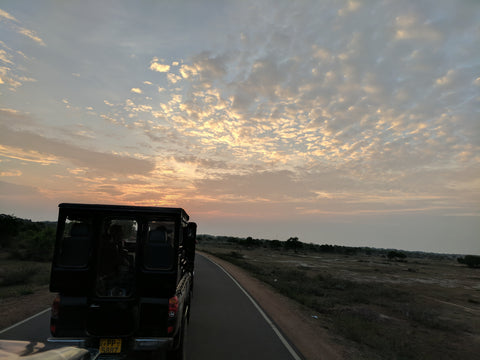 On the road to Yala National Park