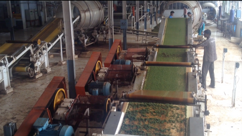 Indian tea factory in operation