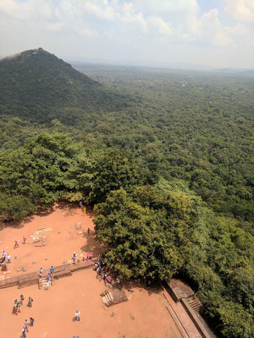 Sigiriya from the top looking down