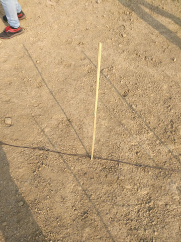 Stick marking where the auger will dig a hole for a tea bush