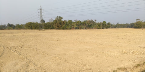 Leveled Land, ready for planting in MP 9, Chota Tingrai Tea Estate