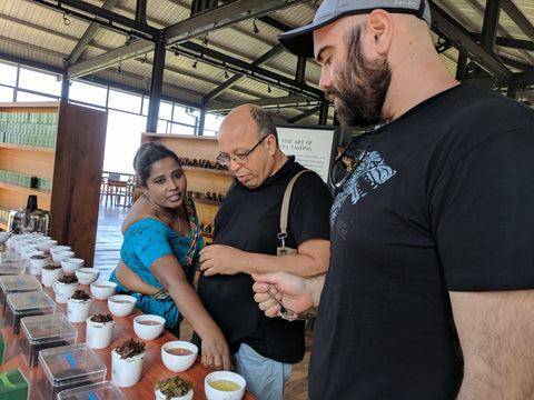 Tea tasting