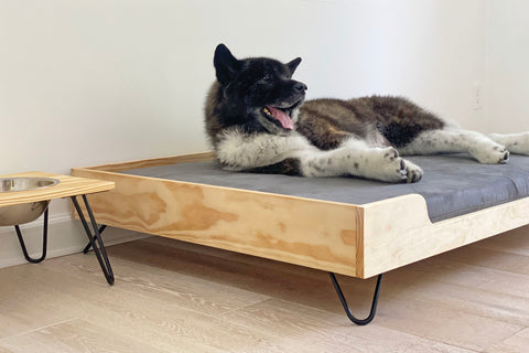 diy hairpin legs dog bed and dog bowl stand with dog