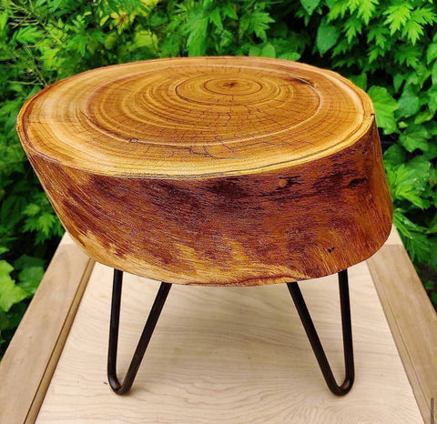stump plant stand stool 