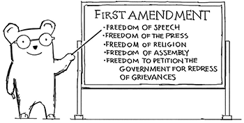 First Amendment Decal