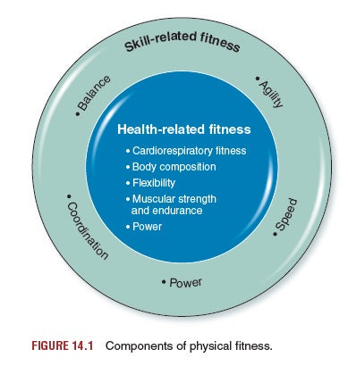 5 components of physical fitness definition