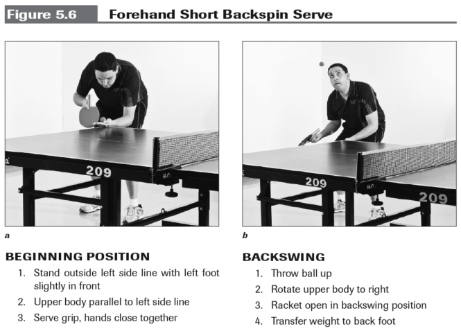 table tennis techniques