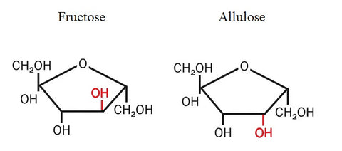 Allulose - Elivate Nutrition
