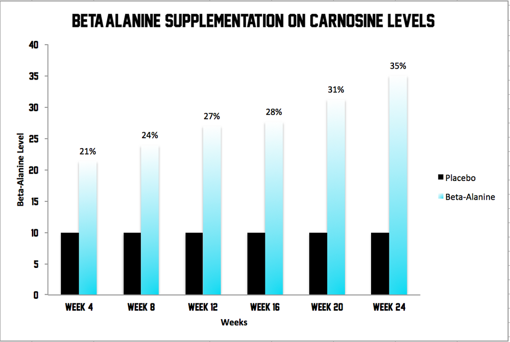 Beta Alanine Supplementation On Carnosine Levels