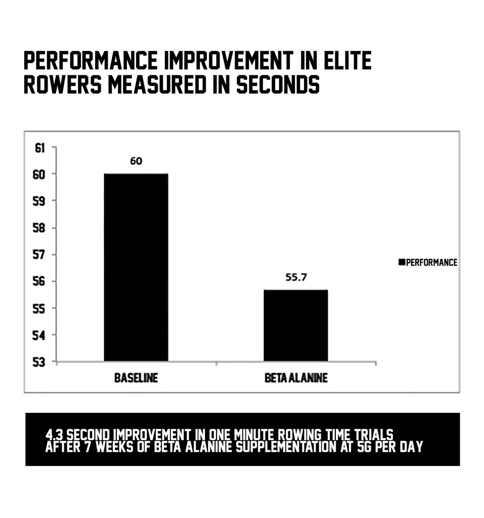 Beta Alanine - Improvement In Rowing Performance And Delayed Muscle Fatigue