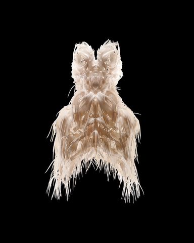 Iris van Herpen: Transforming Fashion