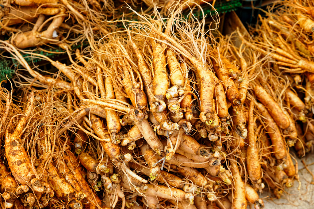 ginseng for mood and stress